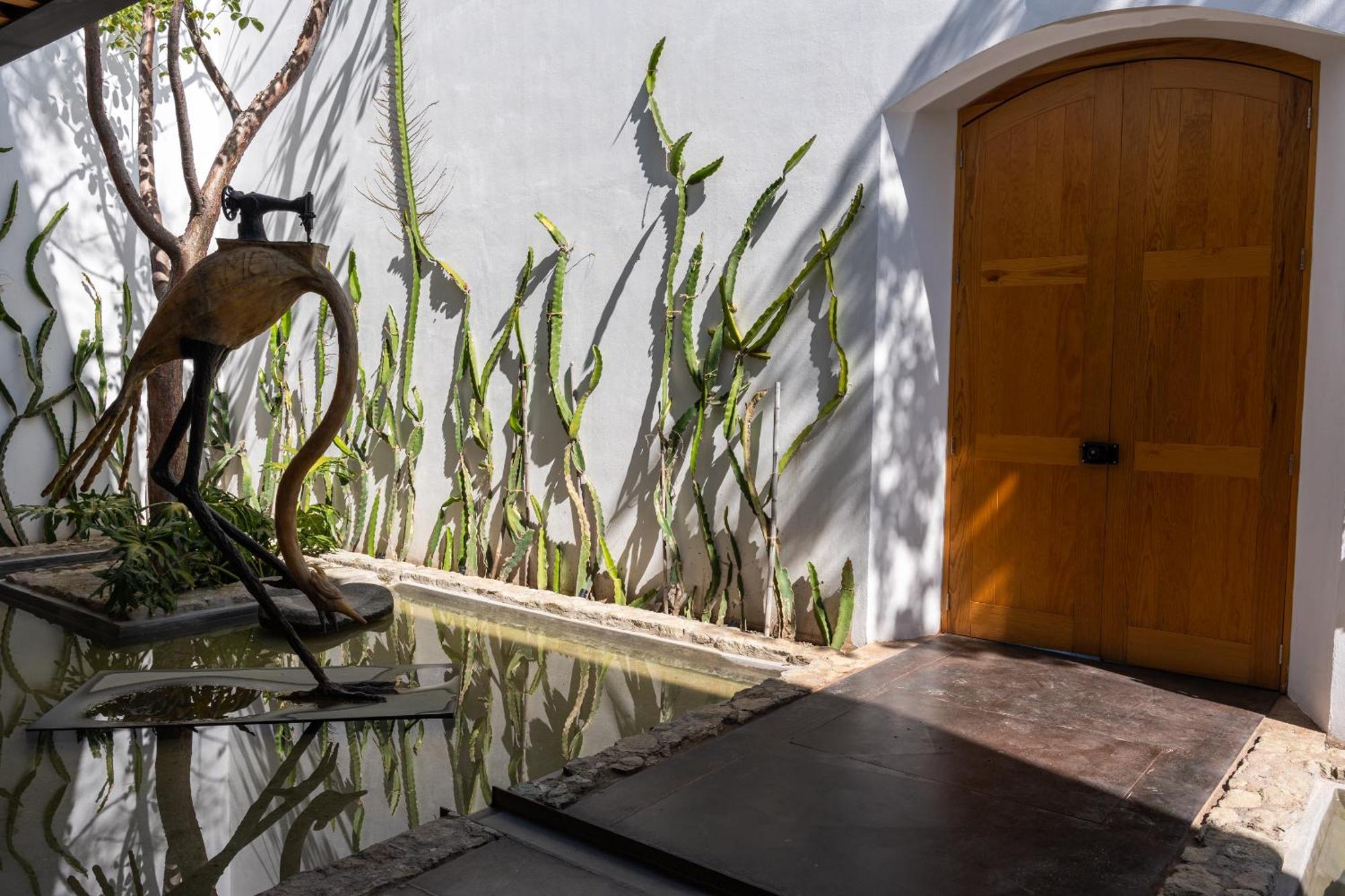 Casa Carmen Xolotl Ξενοδοχείο Oaxaca Εξωτερικό φωτογραφία